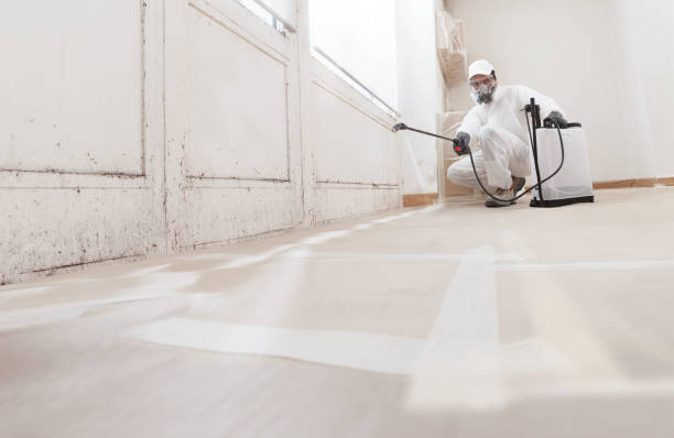 24/7 Emergency Mold Remediation experts in Doylestown, PA