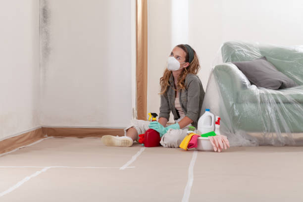 Reliable Mold Remediation contractor in Doylestown, PA by Cheap Mold Removal